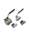 INOX AISI 316 valves